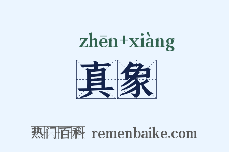 真象是什么意思的图片